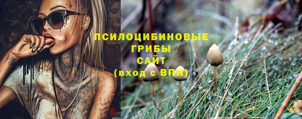 соль ск Алзамай