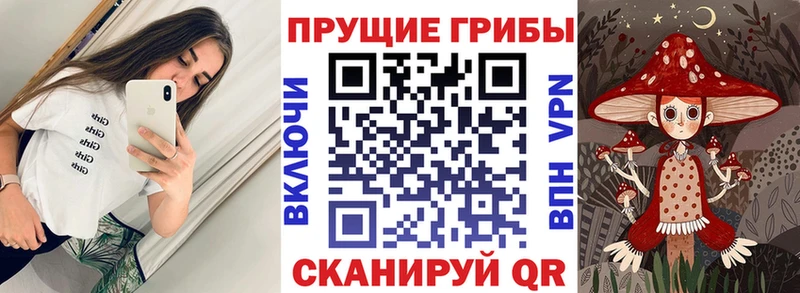 Галлюциногенные грибы ЛСД  купить закладку  Бабушкин 